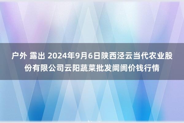 户外 露出 2024年9月6日陕西泾云当代农业股份有限公司云阳蔬菜批发阛阓价钱行情