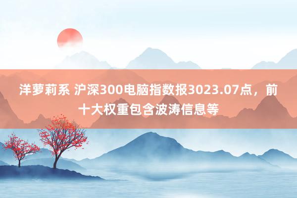 洋萝莉系 沪深300电脑指数报3023.07点，前十大权重包含波涛信息等