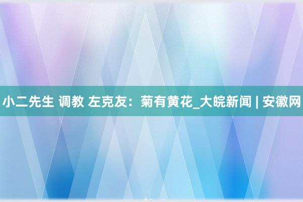 小二先生 调教 左克友：菊有黄花_大皖新闻 | 安徽网