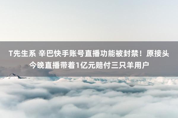 T先生系 辛巴快手账号直播功能被封禁！原接头今晚直播带着1亿元赔付三只羊用户