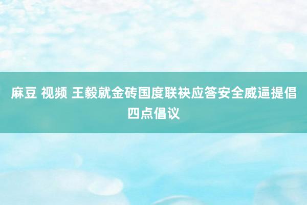 麻豆 视频 王毅就金砖国度联袂应答安全威逼提倡四点倡议