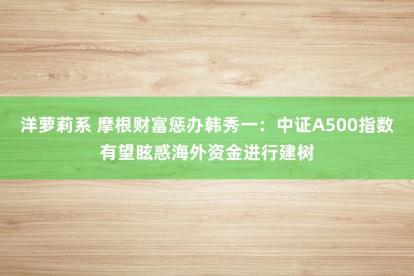 洋萝莉系 摩根财富惩办韩秀一：中证A500指数有望眩惑海外资金进行建树