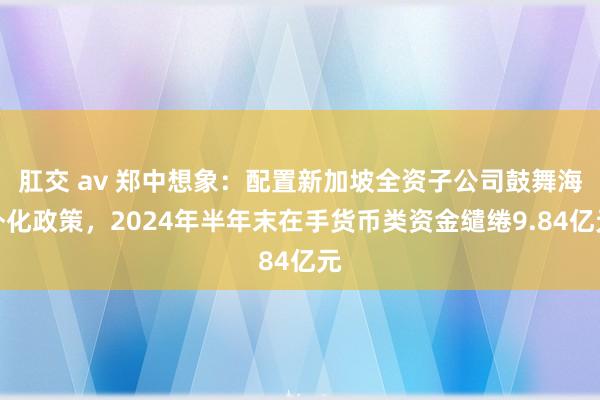 肛交 av 郑中想象：配置新加坡全资子公司鼓舞海外化政策，2024年半年末在手货币类资金缱绻9.84亿元