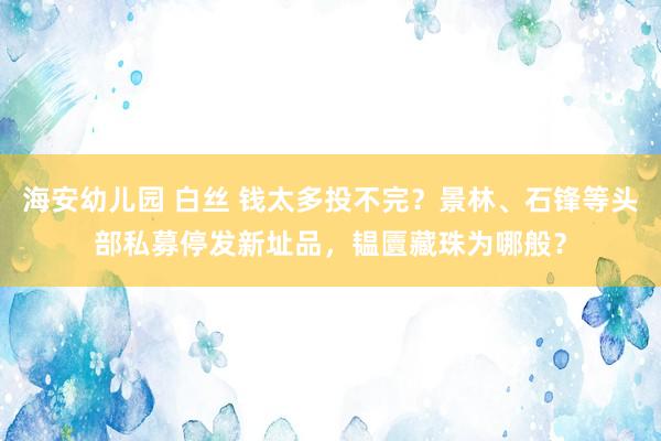 海安幼儿园 白丝 钱太多投不完？景林、石锋等头部私募停发新址品，韫匵藏珠为哪般？