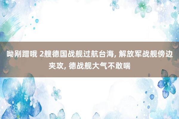 呦剐蹭哦 2艘德国战舰过航台海， 解放军战舰傍边夹攻， 德战舰大气不敢喘