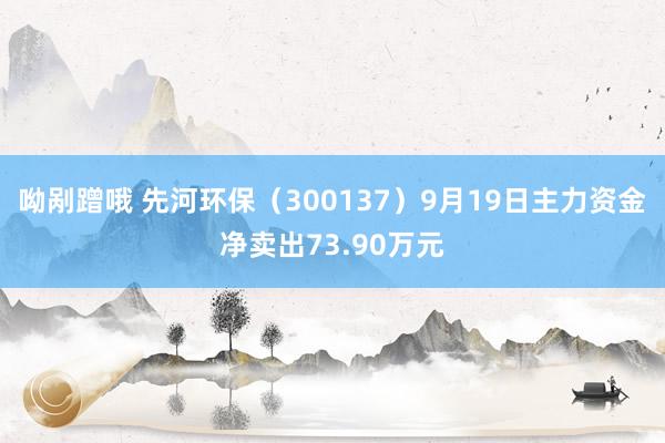 呦剐蹭哦 先河环保（300137）9月19日主力资金净卖出73.90万元