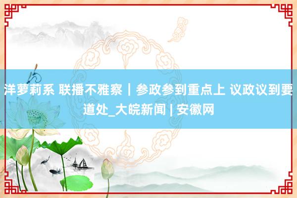 洋萝莉系 联播不雅察｜参政参到重点上 议政议到要道处_大皖新闻 | 安徽网