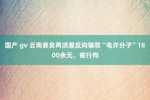 国产 gv 云南彝良两须眉反向骗取“电诈分子”1800余元，被行拘