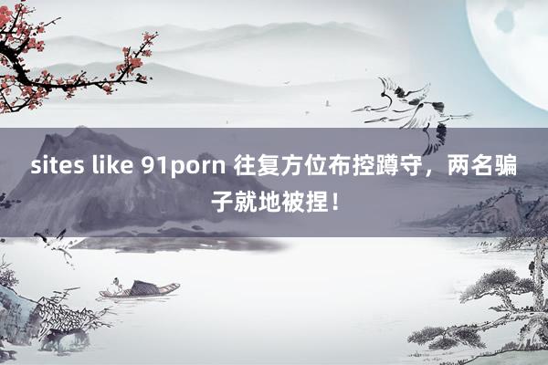 sites like 91porn 往复方位布控蹲守，两名骗子就地被捏！