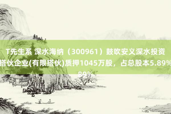 T先生系 深水海纳（300961）鼓吹安义深水投资搭伙企业(有限搭伙)质押1045万股，占总股本5.89%