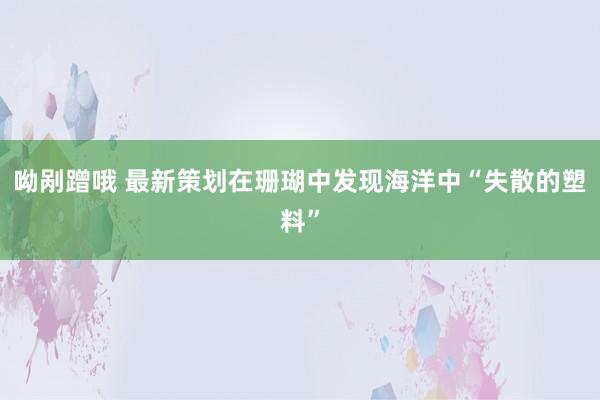 呦剐蹭哦 最新策划在珊瑚中发现海洋中“失散的塑料”