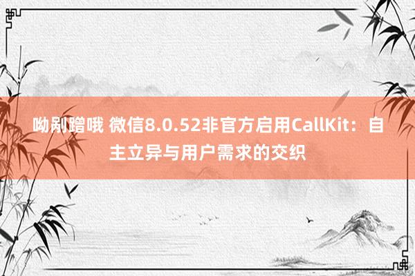 呦剐蹭哦 微信8.0.52非官方启用CallKit：自主立异与用户需求的交织