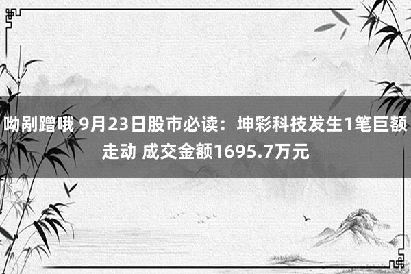 呦剐蹭哦 9月23日股市必读：坤彩科技发生1笔巨额走动 成交金额1695.7万元