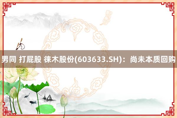 男同 打屁股 徕木股份(603633.SH)：尚未本质回购