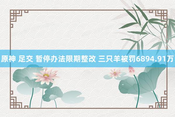 原神 足交 暂停办法限期整改 三只羊被罚6894.91万