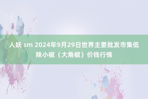 人妖 sm 2024年9月29日世界主要批发市集低辣小椒（大角椒）价钱行情