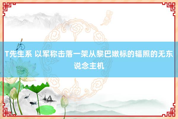 T先生系 以军称击落一架从黎巴嫩标的辐照的无东说念主机