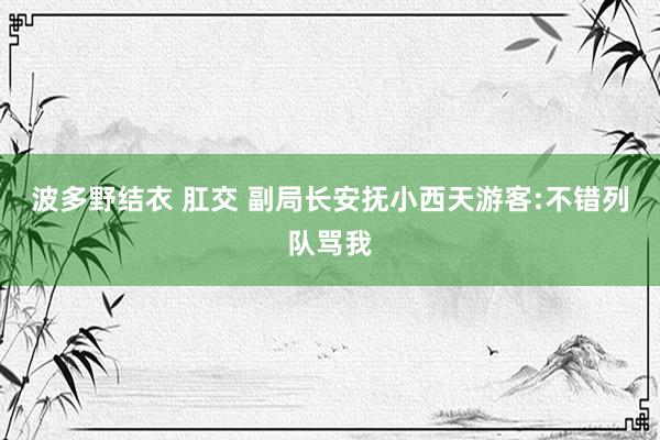 波多野结衣 肛交 副局长安抚小西天游客:不错列队骂我