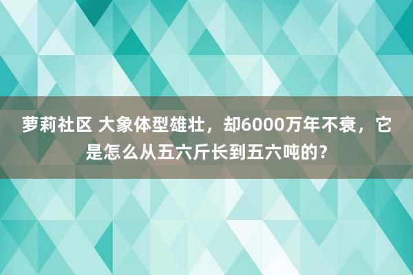 萝莉社区 大象体型雄壮，却6000万年不衰，它是怎么从五六斤长到五六吨的？