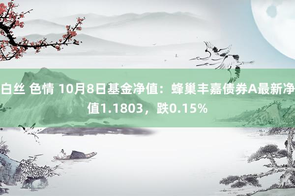 白丝 色情 10月8日基金净值：蜂巢丰嘉债券A最新净值1.1803，跌0.15%