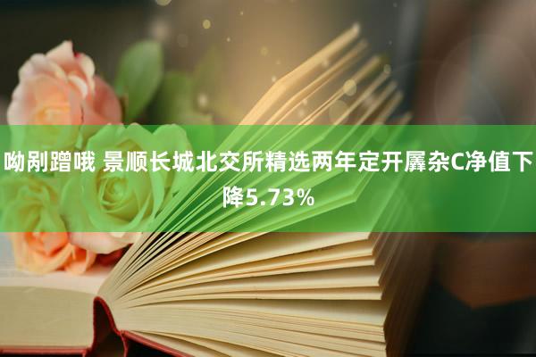 呦剐蹭哦 景顺长城北交所精选两年定开羼杂C净值下降5.73%