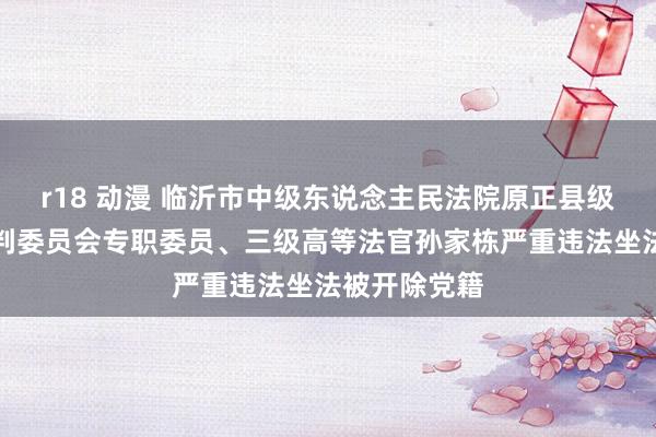 r18 动漫 临沂市中级东说念主民法院原正县级审判员、审判委员会专职委员、三级高等法官孙家栋严重违法坐法被开除党籍