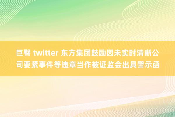 巨臀 twitter 东方集团鼓励因未实时清晰公司要紧事件等违章当作被证监会出具警示函