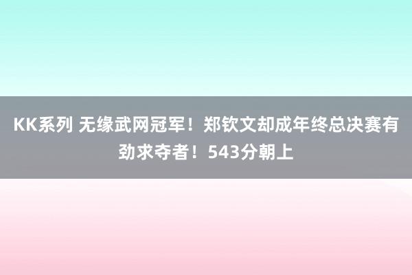 KK系列 无缘武网冠军！郑钦文却成年终总决赛有劲求夺者！543分朝上