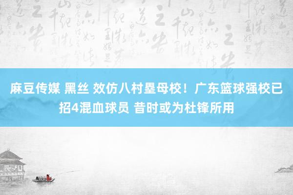 麻豆传媒 黑丝 效仿八村塁母校！广东篮球强校已招4混血球员 昔时或为杜锋所用