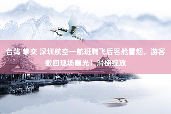 台灣 拳交 深圳航空一航班腾飞后客舱冒烟，游客撤回现场曝光！滑梯绽放