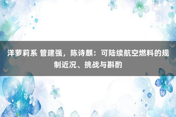 洋萝莉系 管建强，陈诗麒：可陆续航空燃料的规制近况、挑战与斟酌