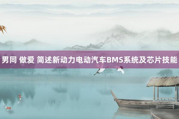 男同 做爱 简述新动力电动汽车BMS系统及芯片技能