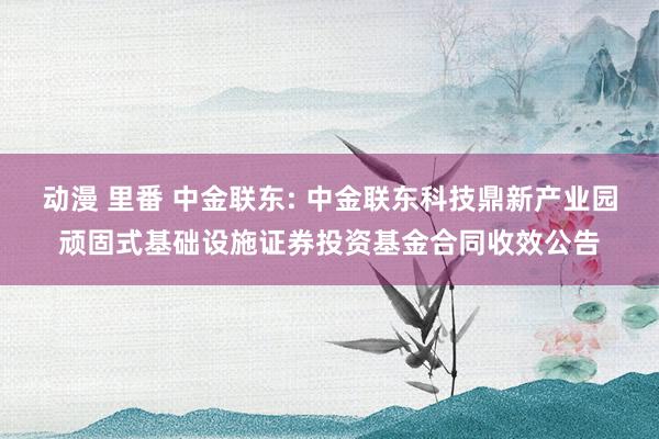 动漫 里番 中金联东: 中金联东科技鼎新产业园顽固式基础设施证券投资基金合同收效公告