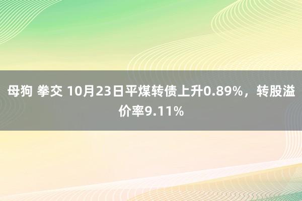 母狗 拳交 10月23日平煤转债上升0.89%，转股溢价率9.11%