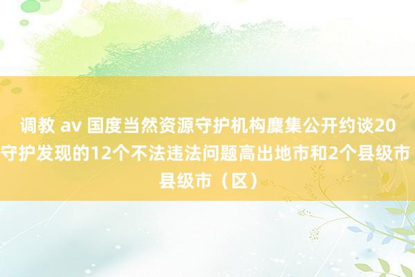 调教 av 国度当然资源守护机构麇集公开约谈2024年守护发现的12个不法违法问题高出地市和2个县级市（区）