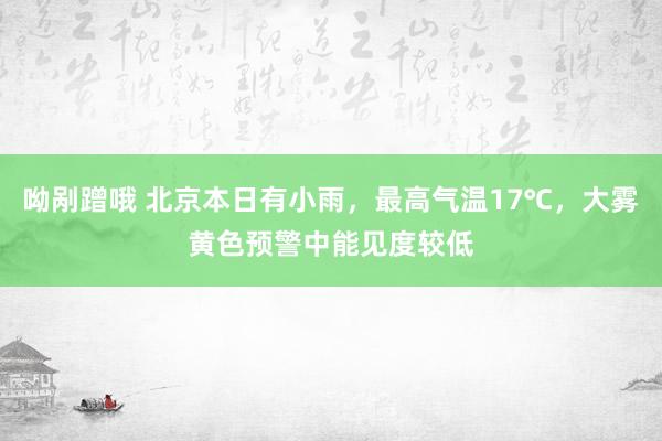 呦剐蹭哦 北京本日有小雨，最高气温17℃，大雾黄色预警中能见度较低