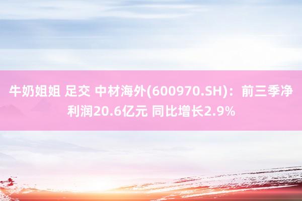 牛奶姐姐 足交 中材海外(600970.SH)：前三季净利润20.6亿元 同比增长2.9%