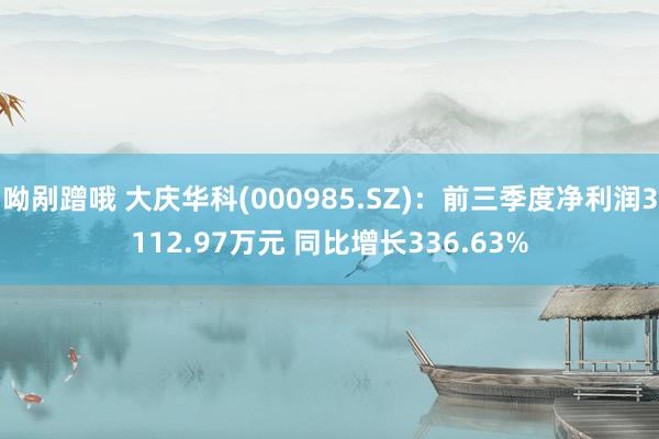 呦剐蹭哦 大庆华科(000985.SZ)：前三季度净利润3112.97万元 同比增长336.63%