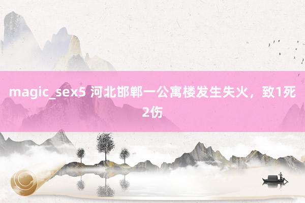 magic_sex5 河北邯郸一公寓楼发生失火，致1死2伤