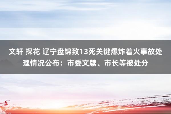 文轩 探花 辽宁盘锦致13死关键爆炸着火事故处理情况公布：市委文牍、市长等被处分