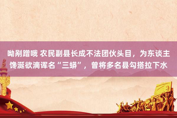 呦剐蹭哦 农民副县长成不法团伙头目，为东谈主馋涎欲滴诨名“三蟒”，曾将多名县勾搭拉下水