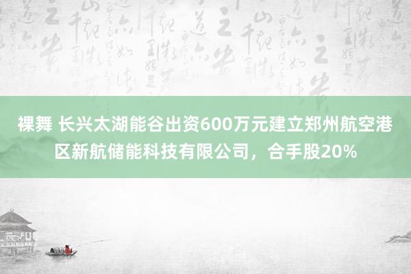 裸舞 长兴太湖能谷出资600万元建立郑州航空港区新航储能科技有限公司，合手股20%