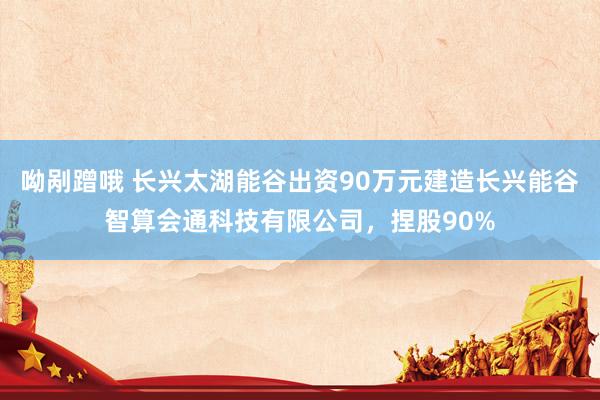 呦剐蹭哦 长兴太湖能谷出资90万元建造长兴能谷智算会通科技有限公司，捏股90%