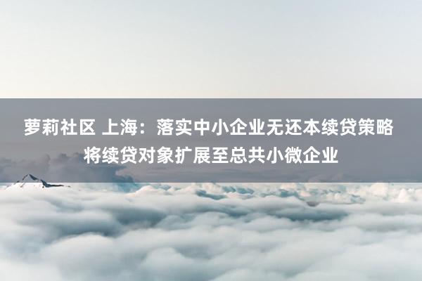 萝莉社区 上海：落实中小企业无还本续贷策略 将续贷对象扩展至总共小微企业