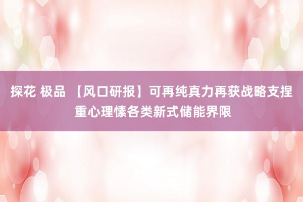 探花 极品 【风口研报】可再纯真力再获战略支捏 重心理愫各类新式储能界限