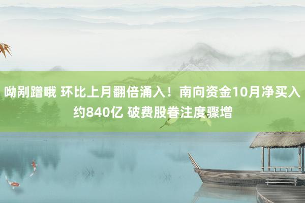 呦剐蹭哦 环比上月翻倍涌入！南向资金10月净买入约840亿 破费股眷注度骤增