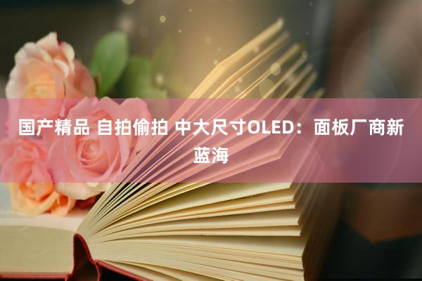 国产精品 自拍偷拍 中大尺寸OLED：面板厂商新蓝海