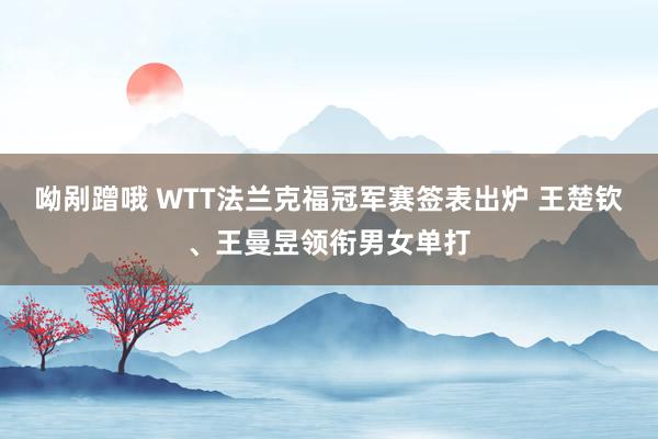 呦剐蹭哦 WTT法兰克福冠军赛签表出炉 王楚钦、王曼昱领衔男女单打