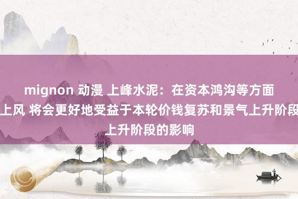 mignon 动漫 上峰水泥：在资本鸿沟等方面有一定上风 将会更好地受益于本轮价钱复苏和景气上升阶段的影响