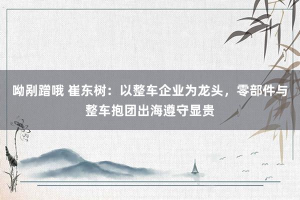 呦剐蹭哦 崔东树：以整车企业为龙头，零部件与整车抱团出海遵守显贵